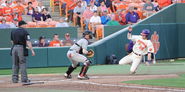 Williams helps Tigers collar Bulldogs to sweep season series