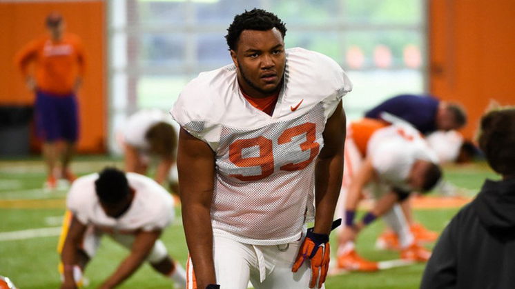 Clemson DL to transfer