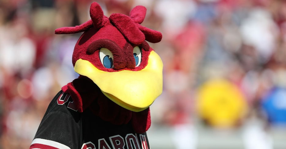 Cocky has watched his team have a 2-5 record in 2020 (Jim Dedmon - USA Today Sports)