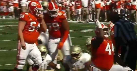 Pinckney has a rushing touchdown and a sack this season