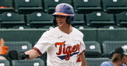 Tigers run-rule Spartans, extend winning streak