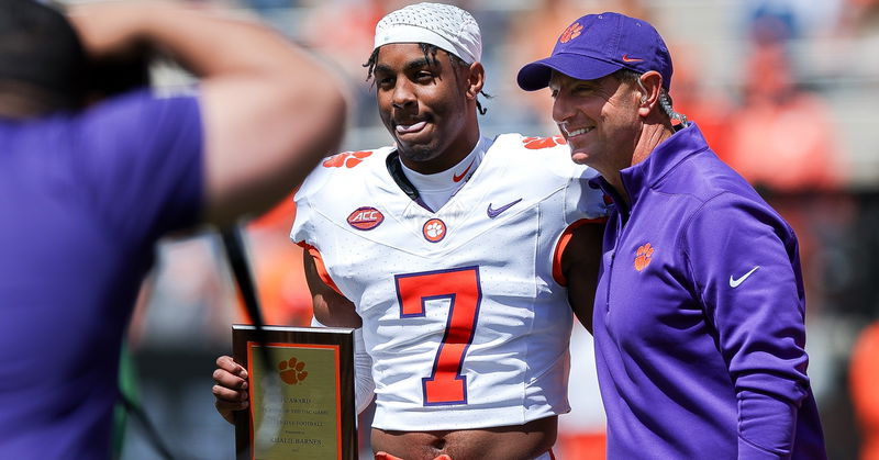 Clemson safeties look to fuse veteran leadership with young talent