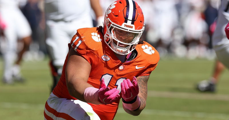 Peter Woods and the Clemson D-line will have high expectations in 2025.