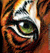 User Logo