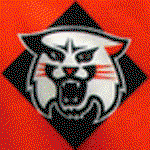 User Logo